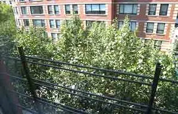 Rented by Carol Quatrone | media 11