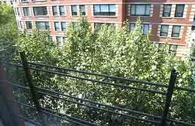 Rented by Carol Quatrone