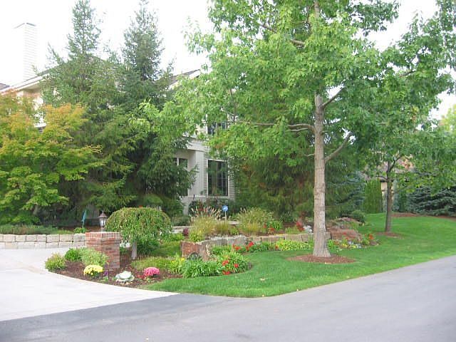 Front View