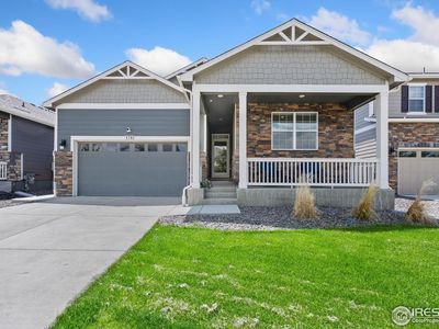 1781 Summer Bloom Dr, Windsor, CO, 80550