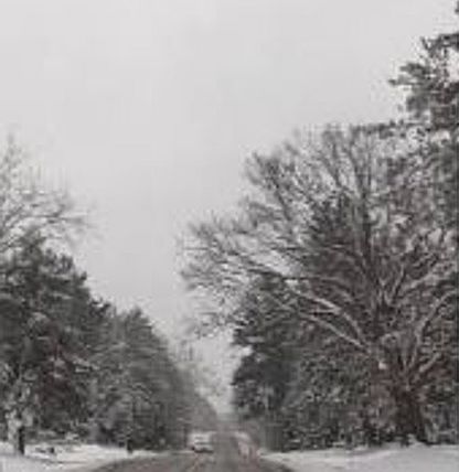 Exterior Neighborhood (street photo)