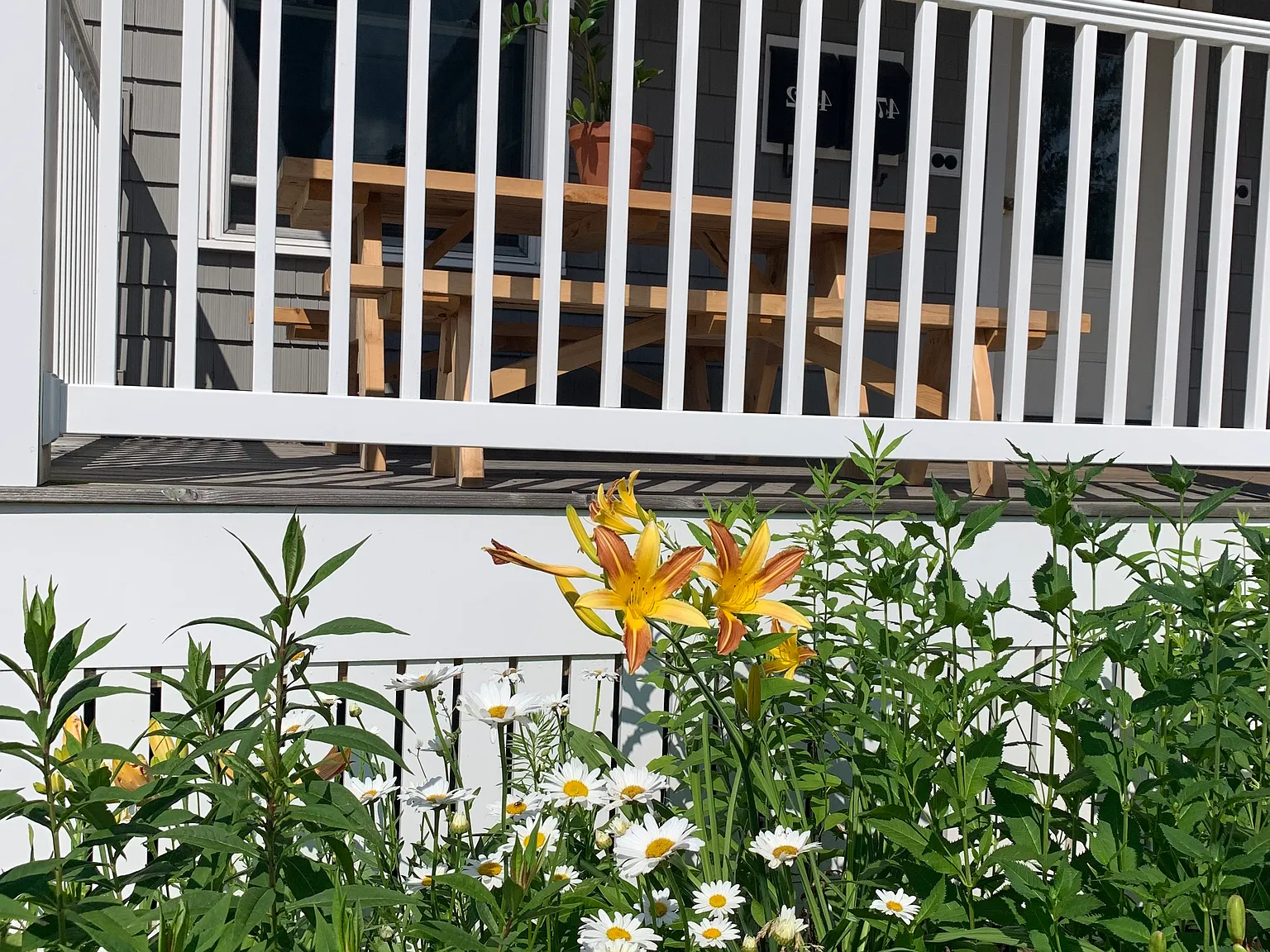 49 Whitney Ave — Photo 2