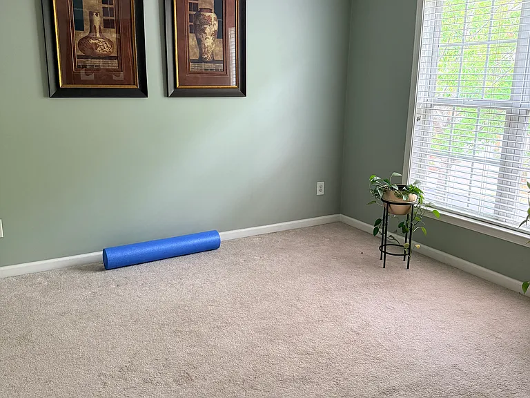 1431 Bellsmith Dr — Photo 10