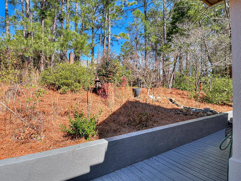 133 Sweet Gum Ln — Photo 42