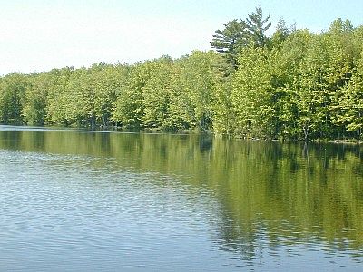 View from Lot 1 shore