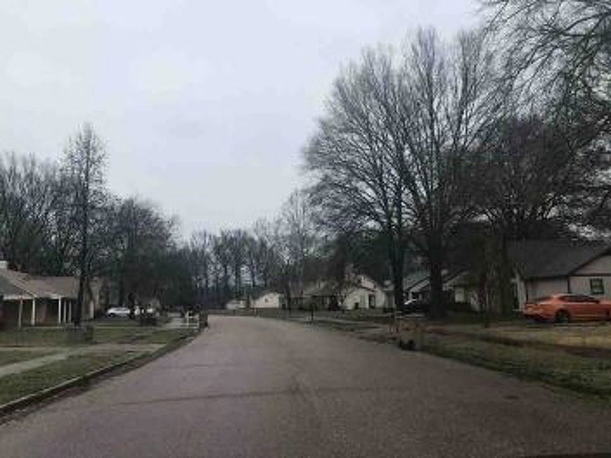 Exterior Neighborhood (street photo)
