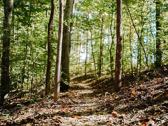 3rd image of 0 Pinewood Rd Lot 105