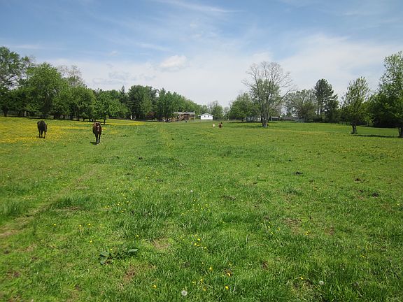 Pasture looking towards hous