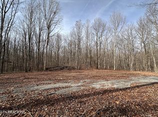 2.12 Bear Hollow Rd, Jamestown, TN 38556