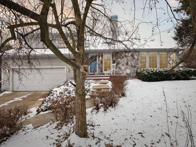 1908 Old Pear Tree Ct, Ann Arbor, MI, 48103