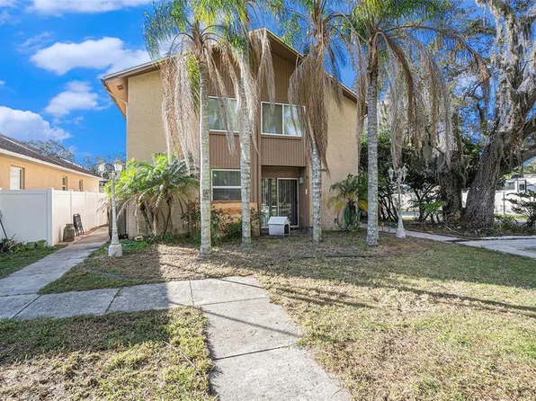 7312 Alvina St, Tampa, FL 33625