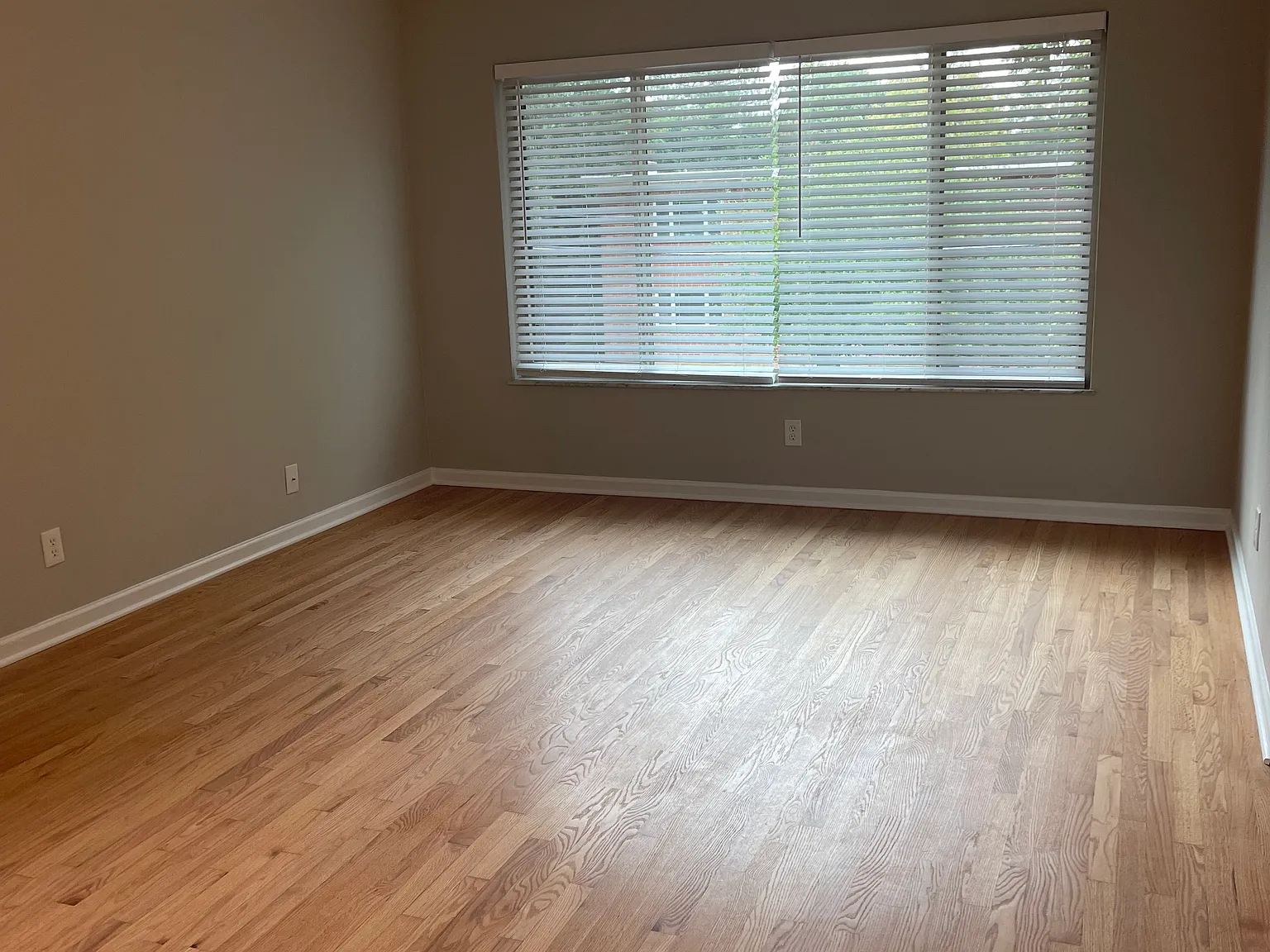1 bed, 950 sqft, $1,650 — Photo 4