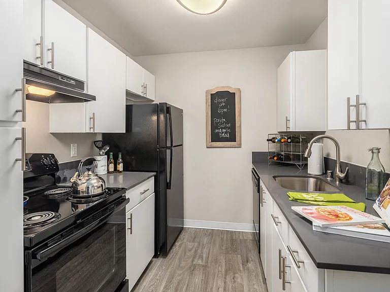 Modern Kitchen