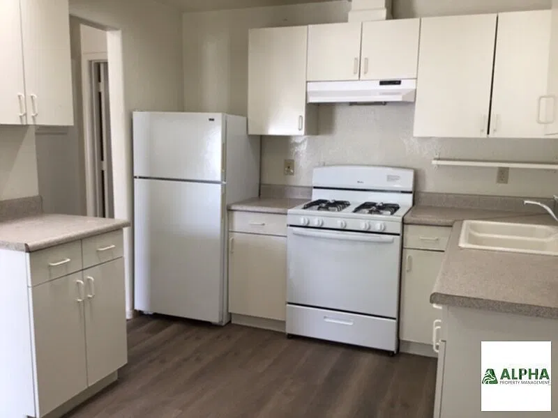 1 bed, 1.0 bath, 720 sqft, $1,000 — Photo 3