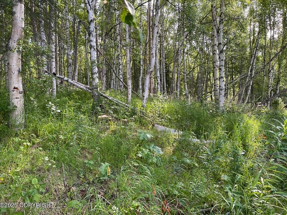 1st image of L3 8th Ml