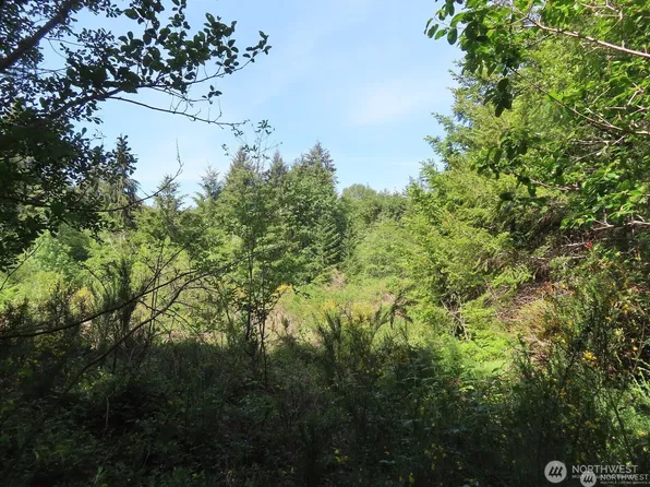 13310 159th Avenue NW, Gig Harbor, WA 98329