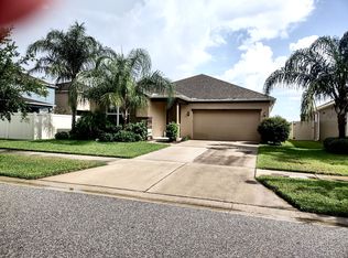 11941 Greenchop Pl, Riverview, FL 33579