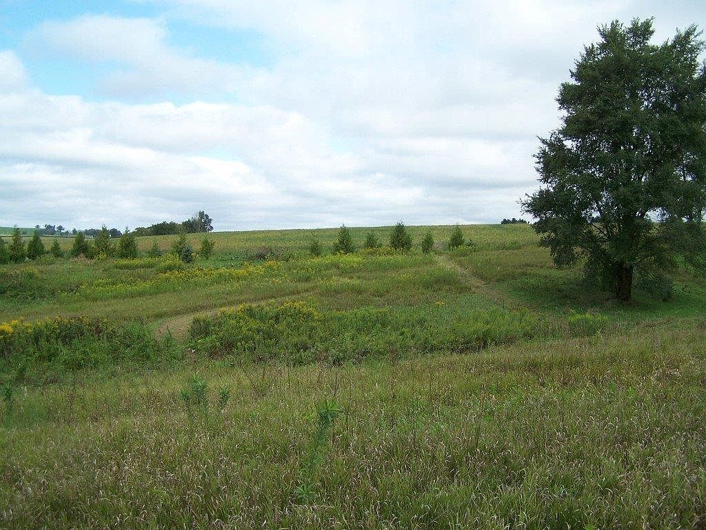 Lot 3 East Morseville LOT 1, Stockton, IL 61085 MLS 1931934 Zillow