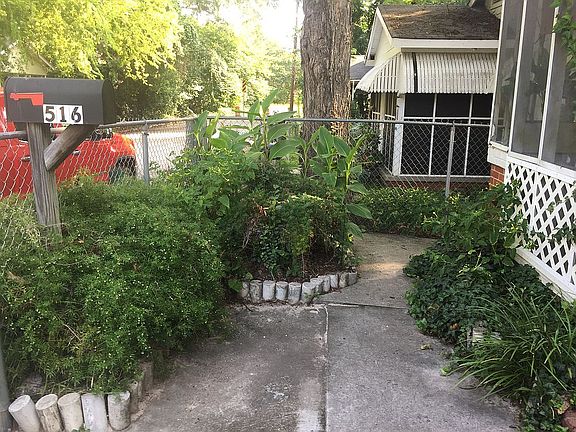 Lots of beautiful plants!