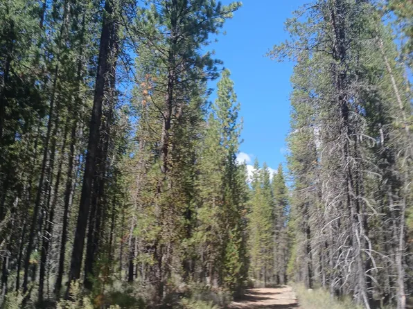 0 Schoonover 5 Lot 3600, Crescent, OR 97733