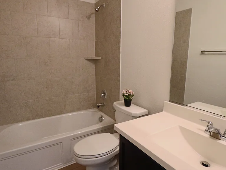 2437 Opaline Dr — Photo 23