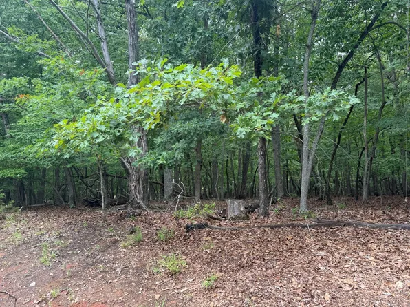 24 Lee Lot Dr Lot 24, Huddleston, VA 24104