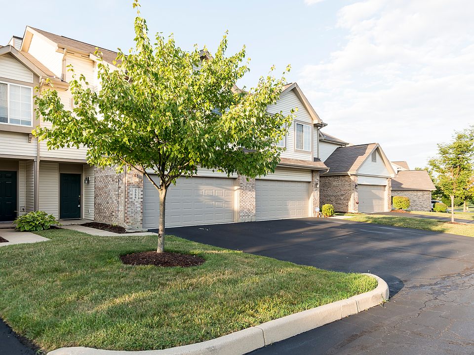 view from Sequoia Drive