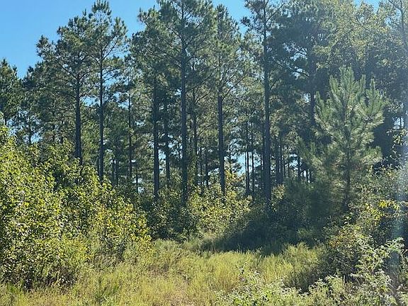5th image of 0 An County Rd #1232