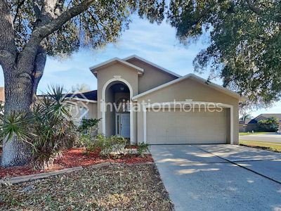 29412 Sea Dahlia Pass, Wesley Chapel, FL, 33543