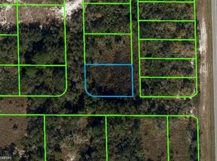 1196 Ebbtide Ave, Lake Placid, FL 33852