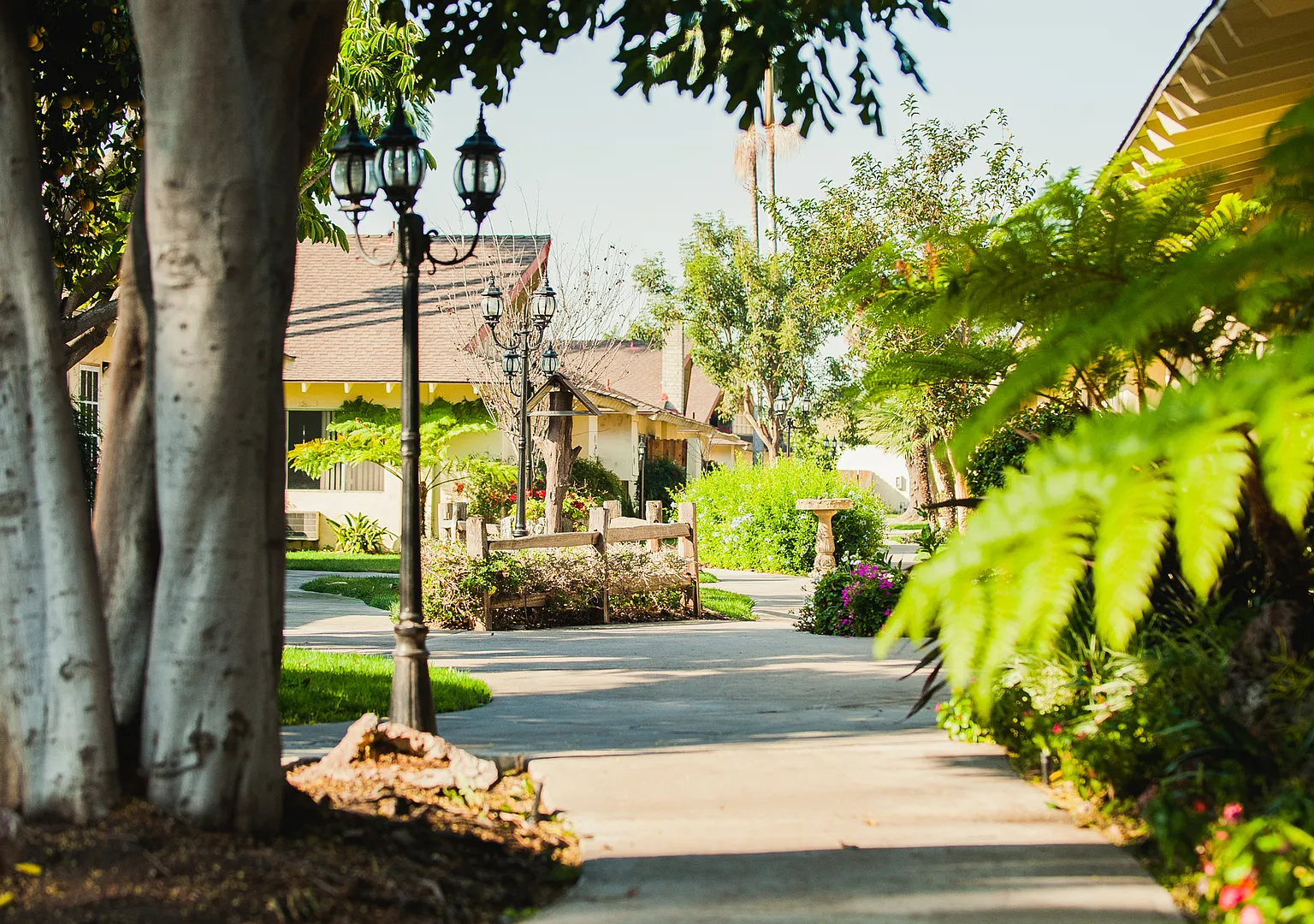 The Beautiful Islander Apartments! — Photo 2