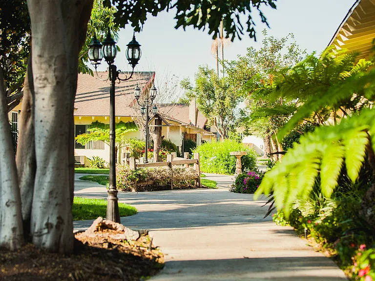 The Beautiful Islander Apartments! — Photo 2