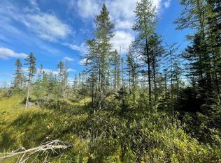 Swamp Rd, Tomahawk, WI 54487