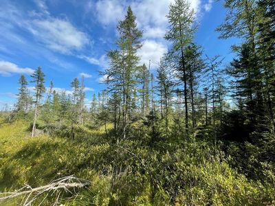 SWAMP ROAD, Tomahawk, WI, 54487