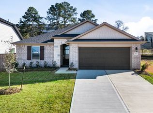 19737 Flag View Dr, Montgomery, TX 77356
