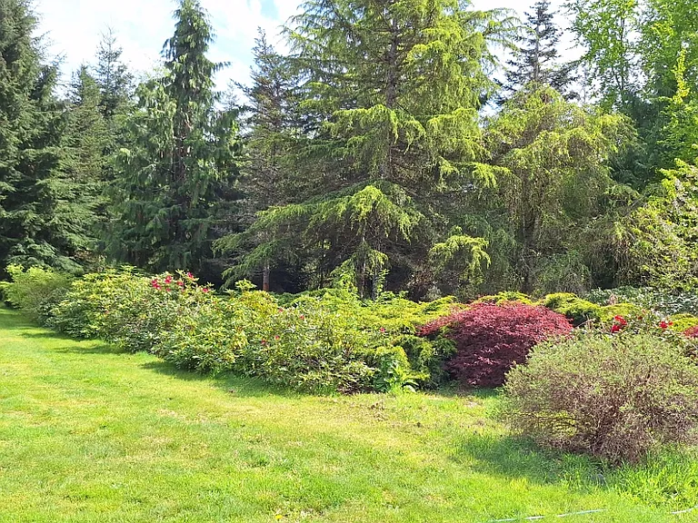 22238 Peter Grubb Rd SE — Photo 4