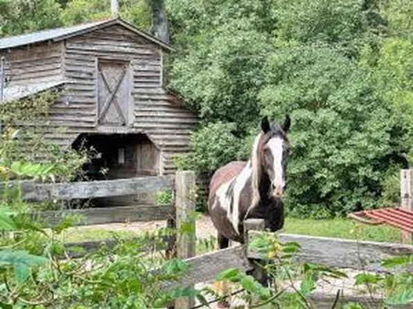 781 Clydeville Ln, Cottageville, SC 29435