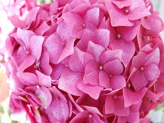 Rented by Buchbinder & Warren | media 14