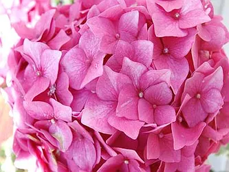 Rented by Buchbinder & Warren