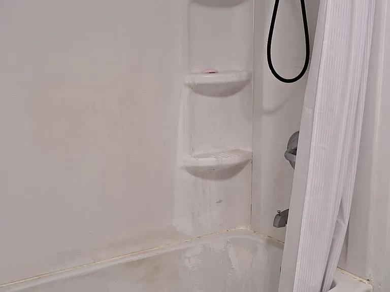 431 W Nelson St #B — Photo 5