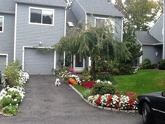 Summer Front driveway