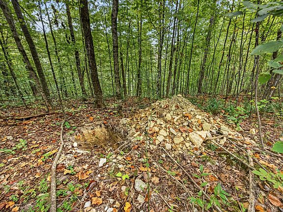 2nd image of 0 Timber Ridge Ln Lot 31