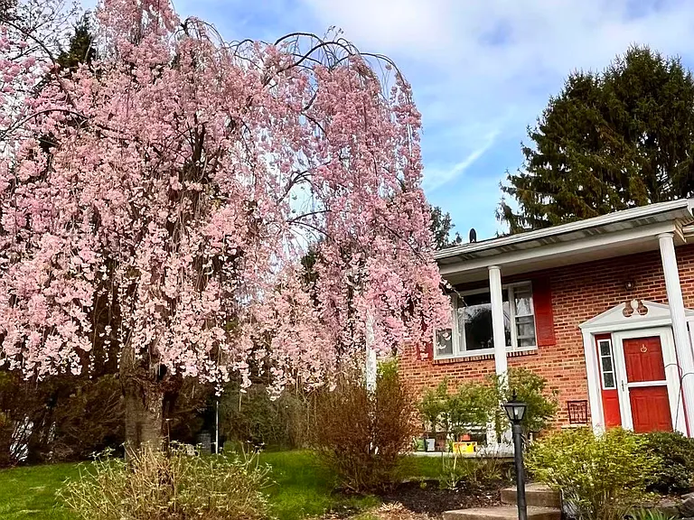 2056 Chelsea Lanestate College — Photo 16