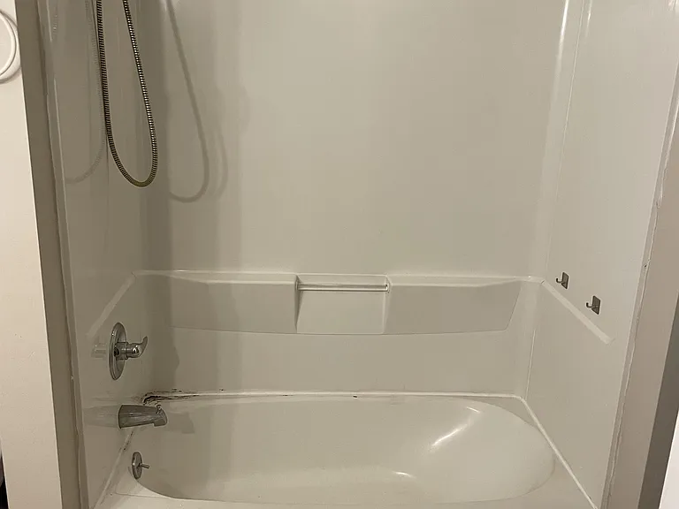 1241 E Palmer St — Photo 13