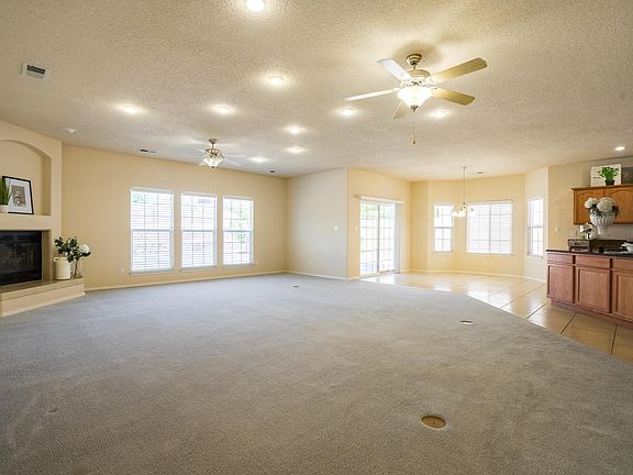 FOTOVAN.com_11819 Gallant Fox (006)