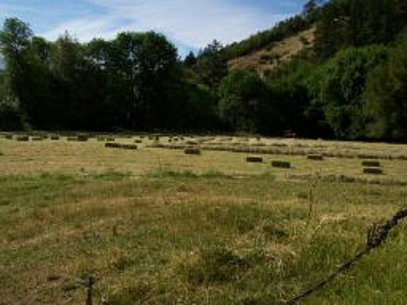 Hay field 
