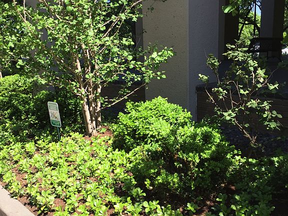 2nd image of 2650 N Lakeview Ave APT 2204