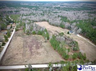 4407 Charlie Cade Rd, Effingham, SC 29541