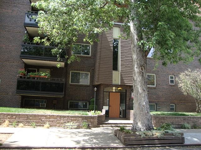 1st image of 1233 N Ogden St APT 204