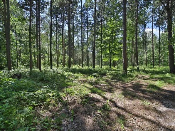 12112 Executive Acres Rd, Brainerd, MN 56401